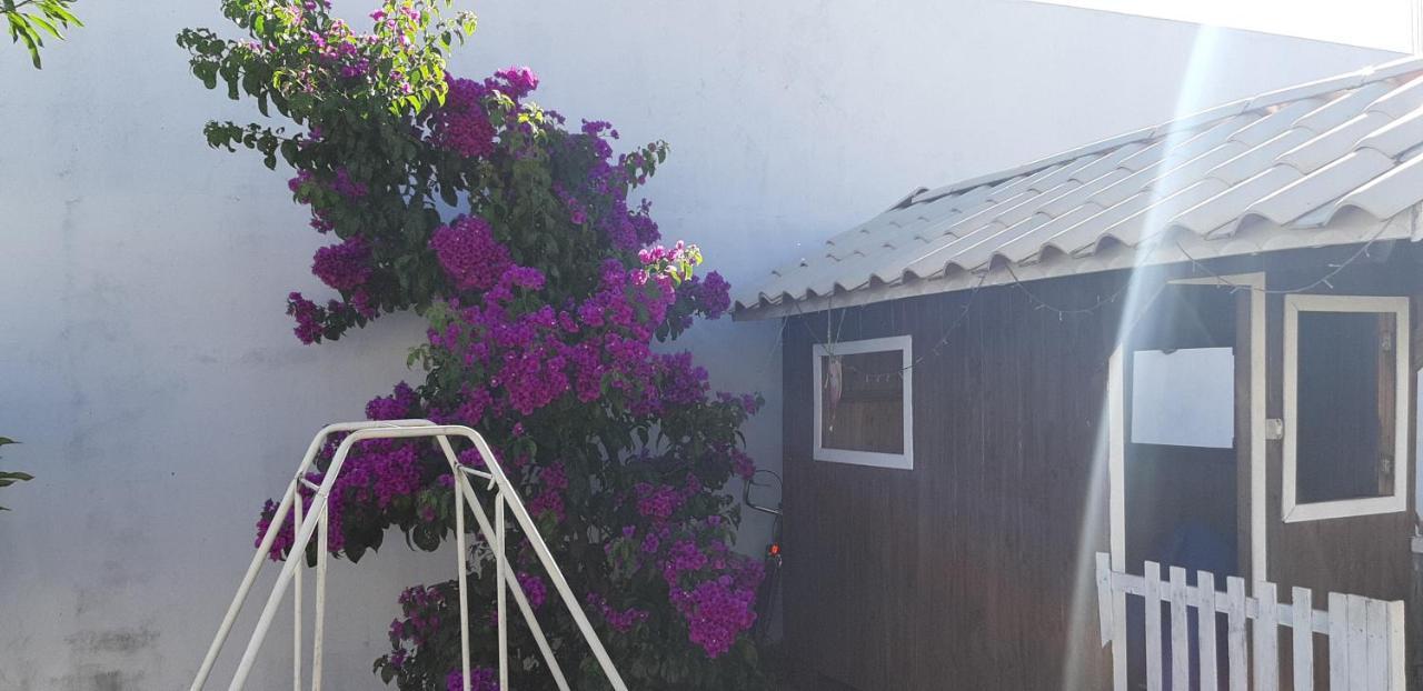 Pousada Cris Garden Bed&Breakfast Foz do Iguacu Luaran gambar